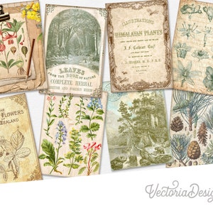 Botanical Cards Printable Cards Printable Botanical Junk Journal Embellishments Cards Printable Botanical Scrapbooking Flowers Cards 002856