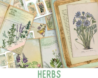 Herbs Journal Kit, Printable Junk Journal Kit, Digital Journal Kit, Journal Pages, Scrapbook Herbs Journal, Botanical Journal - 001983