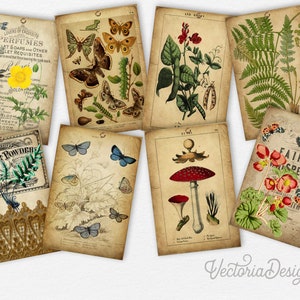 Botanical Junk Journal, Junk Journal Supplies, Cottagecore Journal Kit, Scrapbook Paper, Herbs Journal Kit, Journaling Paper, DIY 001961 image 9