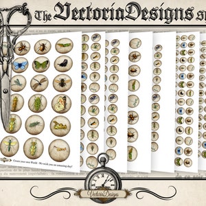 May include: A set of 10 printable sheets of vintage-style insect illustrations. Each sheet features a repeating pattern of insects, including butterflies, beetles, dragonflies, and caterpillars. The illustrations are in a muted color palette of browns, greens, and blues.