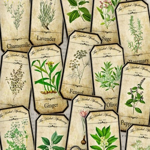 Herbal Apothecary Labels, Apothecary Bottle Labels, Spice Jar Labels, Herbal Labels, Digital Images, Apothecary Graphics, Potion 000519 image 2