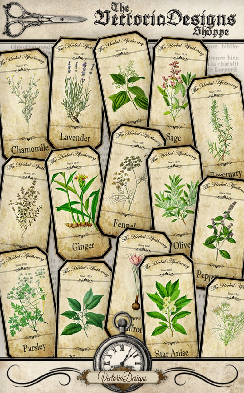 Herbal Apothecary Labels, Apothecary Bottle Labels, Spice Jar Labels, Herbal Labels, Digital Images, Apothecary Graphics, Potion 000519 image 2