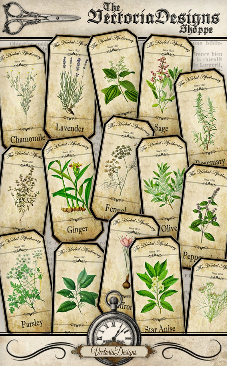 May include: A vintage-style collage featuring botanical illustrations of herbs and spices, including chamomile, lavender, and ginger, on aged paper tags. The text "The Herbal Apothecary" and "Since 1833" are visible on each tag. A pocket watch and scissors are also present.