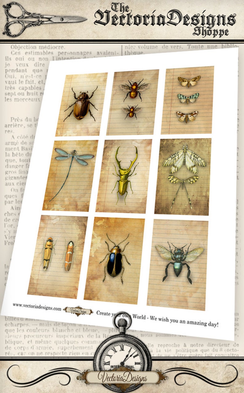 Bugs Cards, Printable Bugs Labels, Paper Craft, Curiosity Cabinet, Bug Paper, Ephemera Printable, Entomology, Cabinet Card, Bugs Gift 000962 image 2