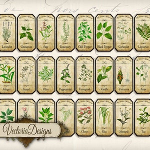 May include: A set of 25 vintage-style botanical illustrations of herbs and spices. Each illustration is framed with a brown border and features a white label with the name of the herb or spice printed in black text. The illustrations are arranged in a grid pattern on a beige background.