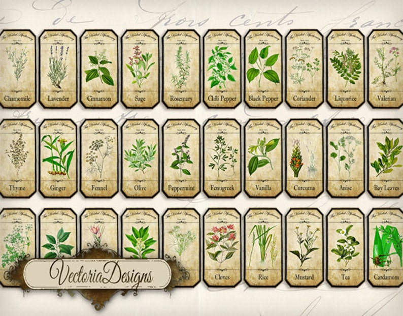 May include: A set of 25 vintage-style botanical illustrations of herbs and spices. Each illustration is framed with a brown border and features a white label with the name of the herb or spice printed in black text. The illustrations are arranged in a grid pattern on a beige background.