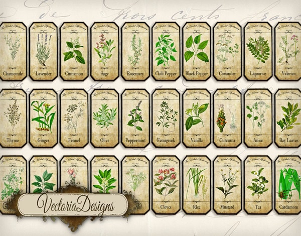 Mini Herbal Apothecary Labels, Spice Jar Labels, Herb Labels, Potion Labels, Apothecary Bottles ...