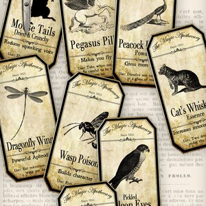 Halloween Animal Labels, Magic Tricks Labels, Halloween Collage Sheet, Bottle Halloween Labels, Halloween Decoration, Apothecary 000356 image 2