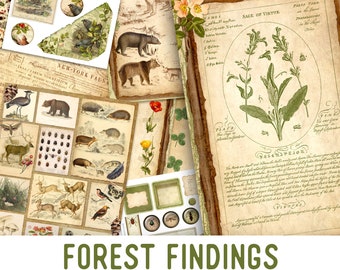 Forest Findings Junk Journal Kit, Nature Junk Journal Kit, Printable Junk Journal Kit, Craft kits, Forest Junk Journal Kit, DIY 002385