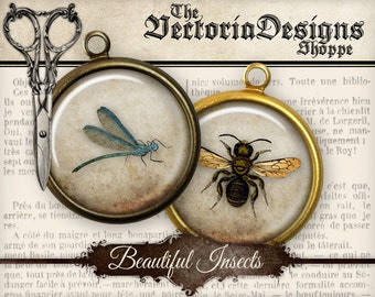 Insects Collage Sheets, Insects Circles, Digital Insects Images, Insects Background, Digital Circles, Bee Decoration, Vintage Images 001118