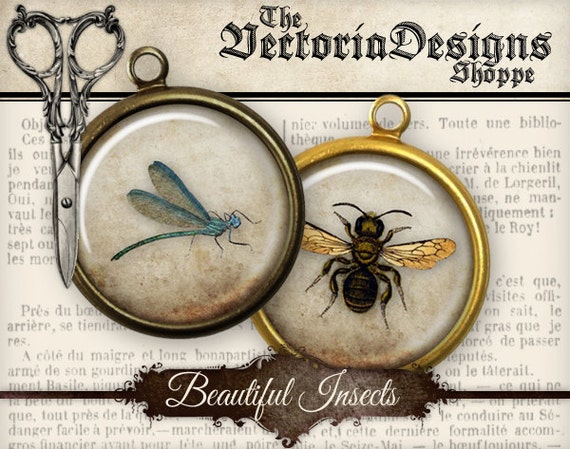 Insects Collage Sheets, Insects Circles, Digital Insects Images, Insects Background, Digital Circles, Bee Decoration, Vintage Images 001118