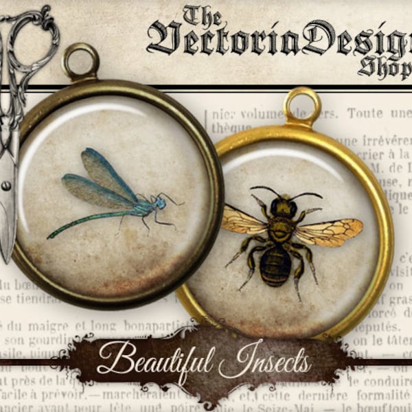 Insects Collage Sheets, Insects Circles, Digital Insects Images, Insects Background, Digital Circles, Bee Decoration, Vintage Images 001118