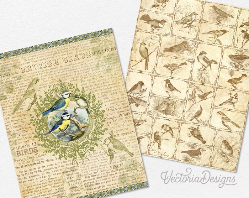 Birds of a Feather Junk Journal Kit, Printable Junk Journal Kit, Birds Junk Journal Birds Embellishments Birds Papers Craft kits DIY 002378 image 7