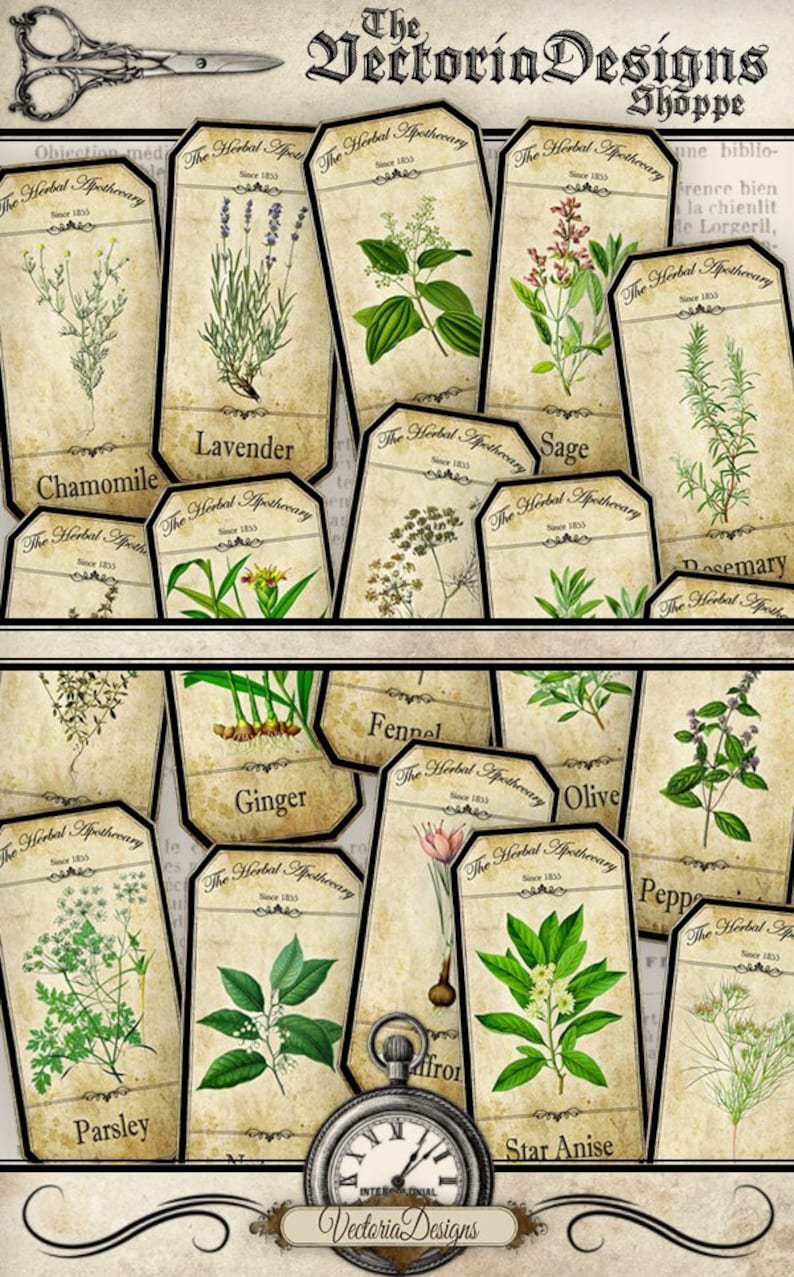 Herbal Apothecary Labels, Apothecary Bottle Labels, Spice Jar Labels, Herbal Labels, Digital Images, Apothecary Graphics, Potion 000519 image 1