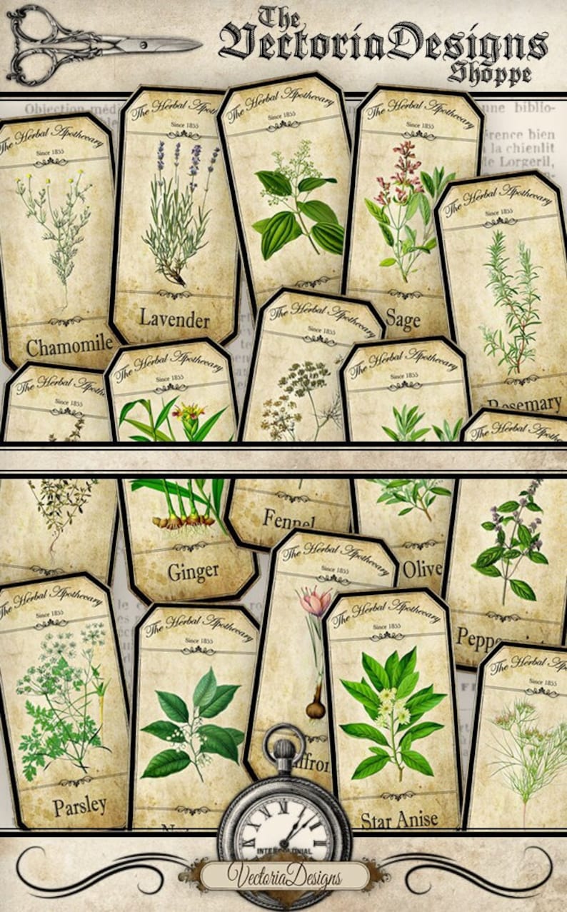 May include: Vintage-style botanical herb labels featuring illustrations of chamomile, lavender, sage, rosemary, ginger, fennel, olive, parsley, star anise, and more. The labels are aged with a distressed look, and include the text "The Herbal Apothecary".