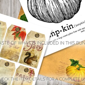 May include: A collection of vintage-style tags and illustrations with a fall theme. The tags feature images of the Eiffel Tower, autumn leaves, and a squirrel. A black and white pumpkin illustration and a yellow pumpkin illustration are also included. Text on the image reads "A taste of what is included in this bundle."