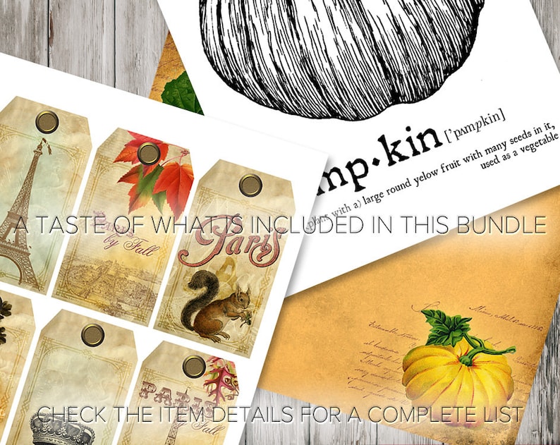 May include: A collection of vintage-style tags and illustrations with a fall theme. The tags feature images of the Eiffel Tower, autumn leaves, and a squirrel. A black and white pumpkin illustration and a yellow pumpkin illustration are also included. Text on the image reads "A taste of what is included in this bundle."