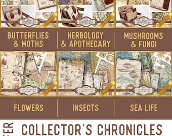 Collector's Chronicles Offer - Nature Junk Journal Printables - 003989