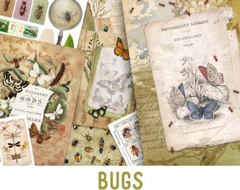 Bugs Large Junk Journal Kit, Digital Junk Journal Kit, Insects Junk Journal Scrapbook, Junk Journal Ephemera, Bugs Journal Supplies 002033