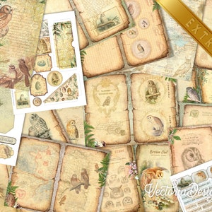 May include: A collection of digital papers featuring owls, birds, and vintage-style illustrations. The papers are in shades of brown, beige, and cream with a distressed, aged look. The papers are perfect for scrapbooking, card making, and other paper crafts.