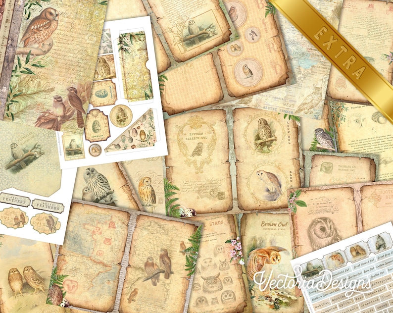 May include: A collection of digital papers featuring owls, birds, and vintage-style illustrations. The papers are in shades of brown, beige, and cream with a distressed, aged look. The papers are perfect for scrapbooking, card making, and other paper crafts.