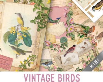 Vintage Birds Junk Journal Kit MINI, Junk Journal Printables Birds Paper Scrapbook Birds Junk Journal Pages Junk Journal Ephemera 003123