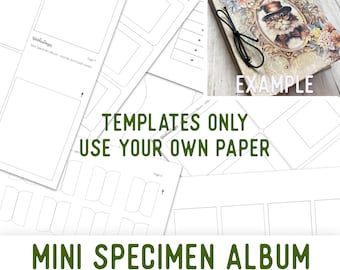 Mini Specimen Album Templates Mini Album Craft Kit Summer Crafts Junk Journal Element Printable Craft kit Handmade Gift DIY Gift 003108