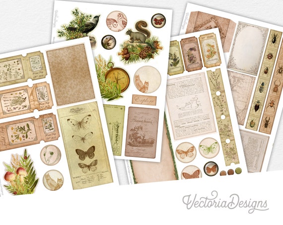 Natural History Museum Embellishment Sheets Journal Embellishments Nature  Printable Crafting Ephemera Ephemera Scrapbook Supplies Kit 002837 