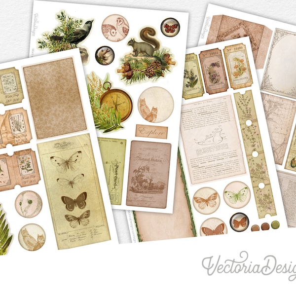 Natural History Museum Embellishment Sheets Journal Embellishments Nature Printable Crafting Ephemera Ephemera Scrapbook Supplies 002837