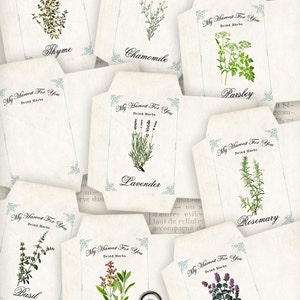 Puede incluir: Nueve etiquetas de regalo de estilo vintage con ilustraciones de hierbas, incluyendo tomillo, manzanilla, perejil, lavanda, romero, albahaca, salvia y menta. Cada etiqueta presenta el texto "My Harvest For You" y "Dried Herbs".