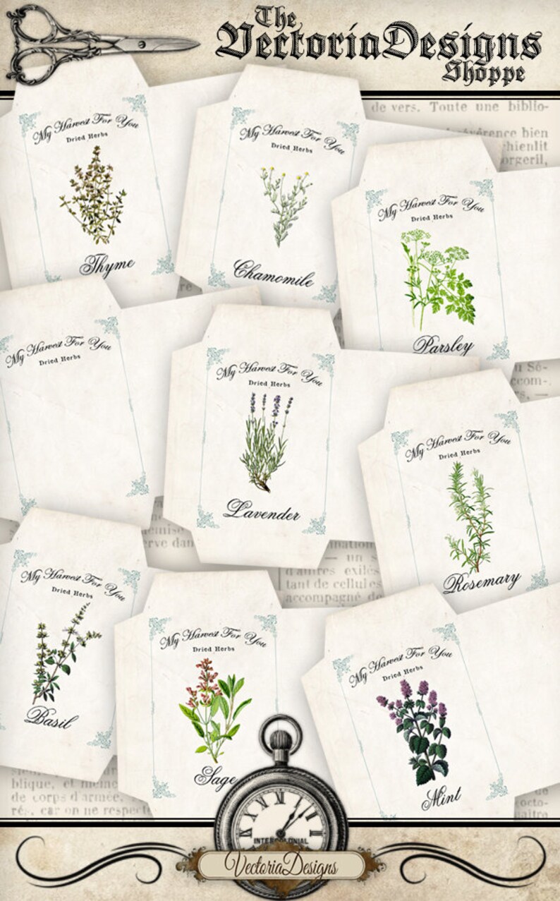 Puede incluir: Nueve etiquetas de regalo de estilo vintage con ilustraciones de hierbas, incluyendo tomillo, manzanilla, perejil, lavanda, romero, albahaca, salvia y menta. Cada etiqueta presenta el texto "My Harvest For You" y "Dried Herbs".