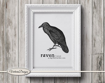 Black Raven Printable, Monochrome Raven Illustration, Bird Lover Wall Art, Black And White Sketch, Print And Frame Raven, Digital Art 000896