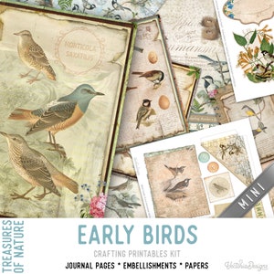 Early Birds Crafting Printables Kit Butterflies Junk Journal Butterfly Embellishments Paper Craft Kits Junk Journal Tutorial DIY 002989