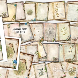 May include: A collection of printable journal pages featuring vintage illustrations of birds and nests. The pages are available in three sizes and have a distressed, antique look. The text on the pages reads "Journal Pages in 3 Sizes".