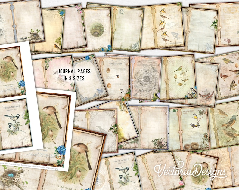 May include: A collection of printable journal pages featuring vintage illustrations of birds and nests. The pages are available in three sizes and have a distressed, antique look. The text on the pages reads "Journal Pages in 3 Sizes".