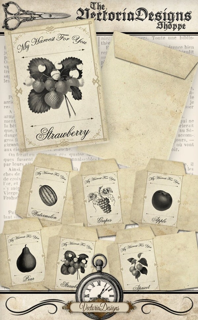 Fruit Seed Packets Seed Envelopes instant download digital collage sheet 000862 image 1