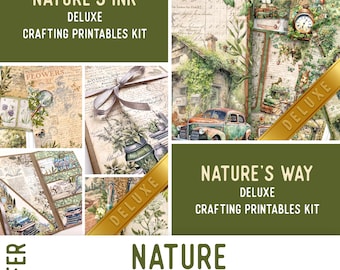 Nature Offer - 003936