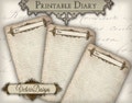 Journal Pages, Vintage Journal, Junk Journal, Printable Journal, Diary Journal, Steampunk Journal Pages, Diary Pages, Journal 000283