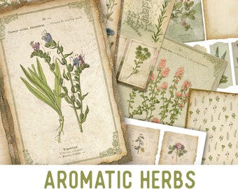 Herbes aromatiques Junk Journal Kit, Junk Journal Supplies, Junk Journal Printables, Junk Journal Ephemera, DIY Kit, Digital Journal Kit 002263