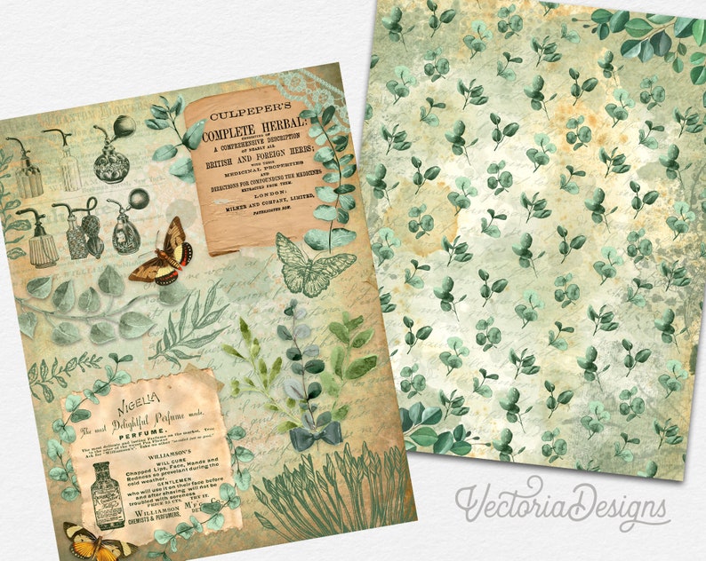 Fragrant Eucalyptus Paper Pack, Decorative Paper, Printable Paper Pack, Greenery Decor, Digital Paper, Botanical Paper Pack, Album 002121 image 2