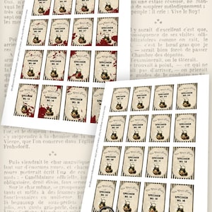 Halloween Specimen Labels, Printable Halloween Decor, Witchy Apothecary ...