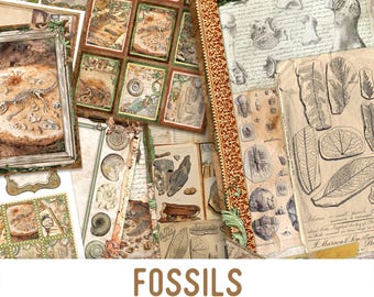 Fossils Junk Journal Kit, Archeology Junk Journal Kit Fossils Embellishments Junk Journal Papers Printable Fossils Craft kit - 003444