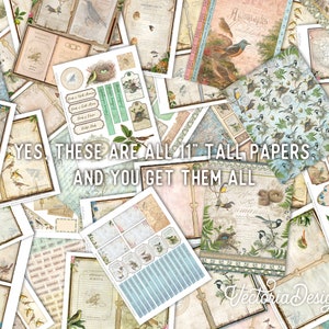 May include: A collection of 11-inch tall digital papers featuring a bird theme. The papers include various designs with birds, nests, and floral elements. The text "YES THESE ARE ALL 11" TALL PAPERS AND YOU GET THEM ALL" is visible in the image.