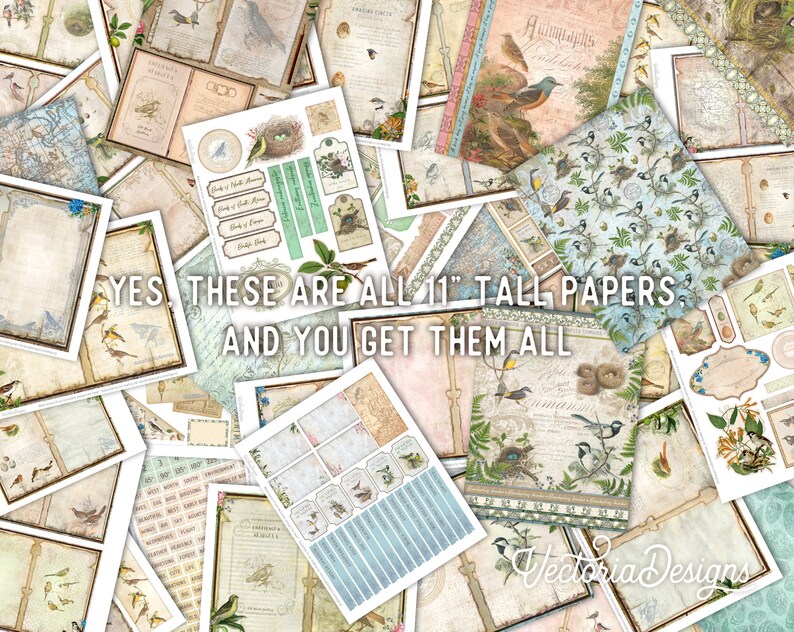 May include: A collection of 11-inch tall digital papers featuring a bird theme. The papers include various designs with birds, nests, and floral elements. The text "YES THESE ARE ALL 11" TALL PAPERS AND YOU GET THEM ALL" is visible in the image.