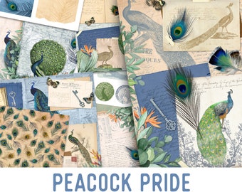 Peacock Pride Junk Journal Kit, Embellishments, Printable Junk Journal Kit, Scrapbooking, Printable Journal Pages, Ephemera, Digital 002219