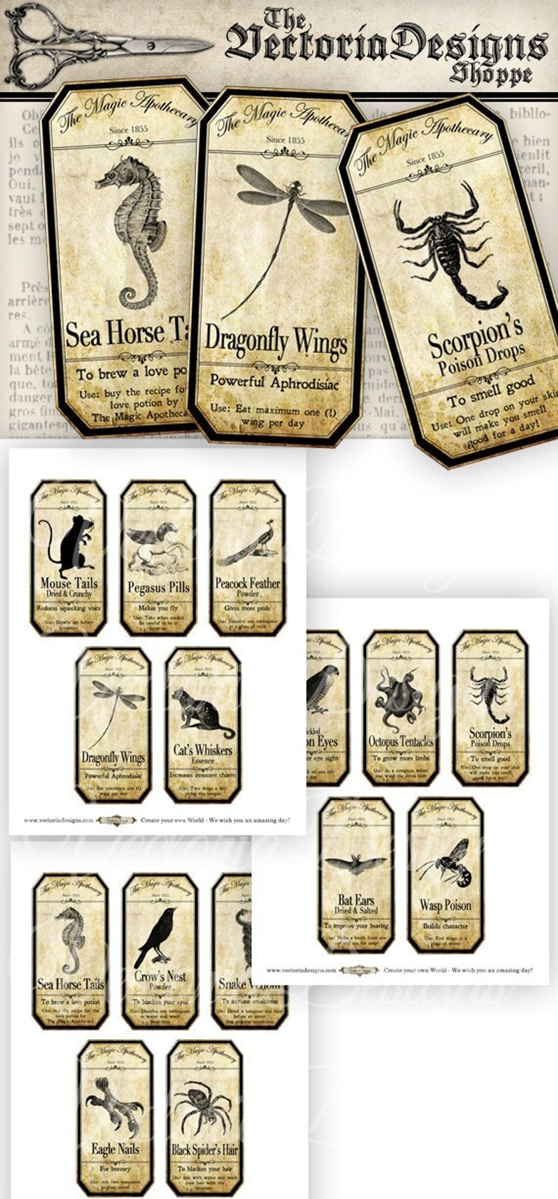 Halloween Animal Labels, Magic Tricks Labels, Halloween Collage Sheet, Bottle Halloween Labels, Halloween Decoration, Apothecary 000356 image 1