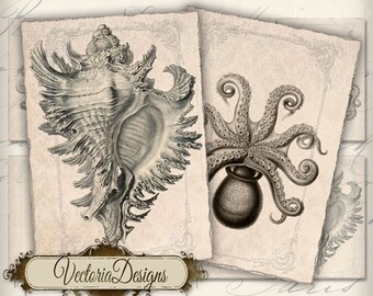 Treasures of the Sea ATC vintage images digital background instant download printable collage sheet VD0132