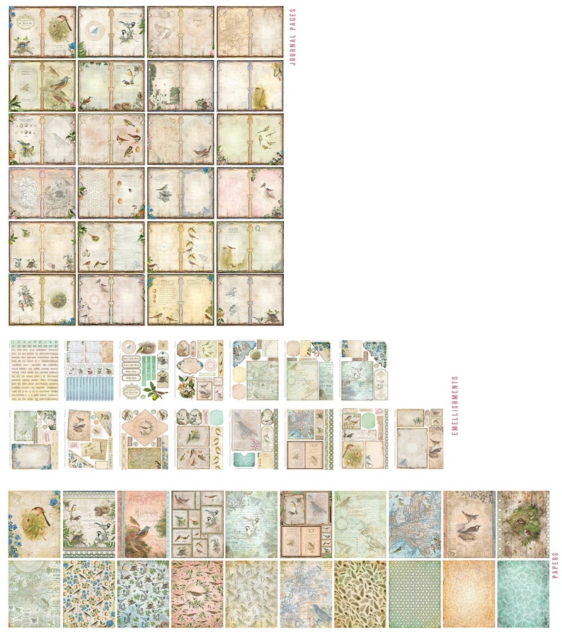 Treasures of Nature Offer, Nature Craft Printables, Printable Papers, Junk Journal kit, Spring Embellishments, Craft Kits 002929 image 8