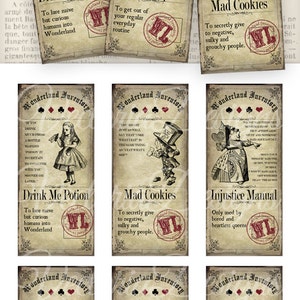 Alice in Wonderland Inventory Labels Printable Alice in Wonderland Labels Digital Download Instant Download digital collage sheet 000757 image 2