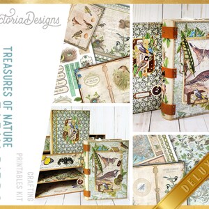 May include: A digital scrapbooking kit featuring a vintage style design with birds, flowers, and nature elements. The kit includes printable papers, embellishments, and other digital elements. The kit is titled "Treasures of Nature Early Birds Deluxe".